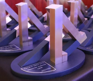 Estatuilla premios 300x262, Resultados premios ANDA 2019