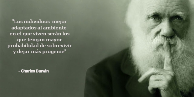La evolución del consumidor charlesdarwin2, La evolución del consumidor
