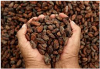 El Cacao peruano